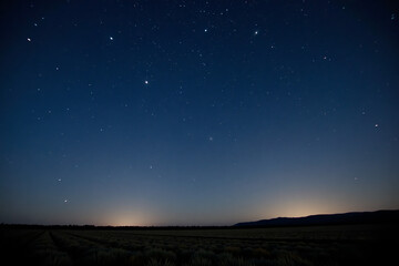 Panoramic field of crops peaceful under a star-filled sky representing vastness