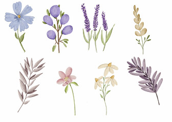 watercolor vector floral set with leaves and flowers. Elements for your compositions, greeting cards or wedding invitations. 