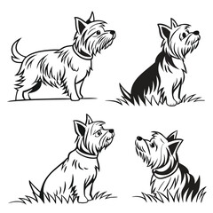 Yorkshire Terrier Black and White Line Art Silhouette Illustrations. Cute Dog on Grass