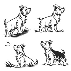 Four Terriers Outlines, Black and White Monochrome, Multiple Poses, Dogs Sitting and Standing