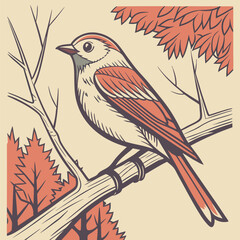 Hand-Drawn Brush Lines and Strokes: Vector Highlights with Pencil, Marker, Crayon, Chalk, and Pen Textures