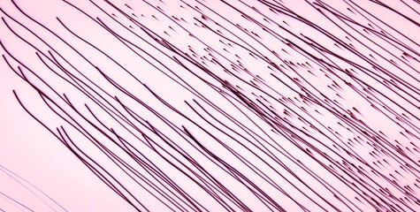 Obraz premium Vibrant and Dynamic Abstract Delight with a Multitude of Colors and Patterns