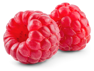 Raspberry isolated png. Raspberries on transparent background. Whole two raspberries with transparent shadow no background. Transparent png. Full depth of field.
