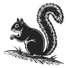 Black Squirrel Silhouette with Bushy Tail in Grass Patch Isolated on White Ground