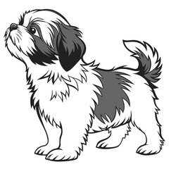 Cute Shih Tzu Dog Illustration, Small Breed Canine with Fluffy White and Grey Coat
