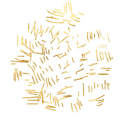 Gold brush ,Shiny glittering dust element. PNg Golden element on transparent background. Gold element with texture.Gold Foil gold splatter glitter,stroke Gold.Elegant design element for greeting