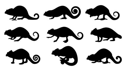 set of chameleon silhouette vector on tranparent background