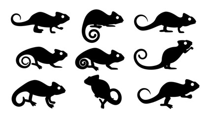 set of chameleon silhouette vector on tranparent background