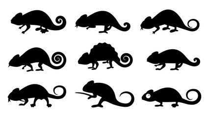 set of chameleon silhouette vector on tranparent background