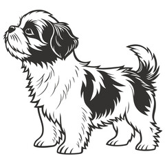 Stylized Shih Tzu Portrait Playful Puppy with Fluffy Furry Coat & Distinct Markings