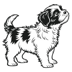 Playful Shih Tzu Puppy, Black and White Line Art Portrait, Cute Dog Breed
