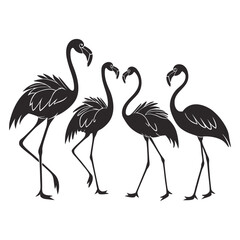 Vector Illustration of Flamingo Silhouette Set Featuring Graceful and Elegant Birds in Various Poses for Wildlife, Nature, and Decorative Art Projects