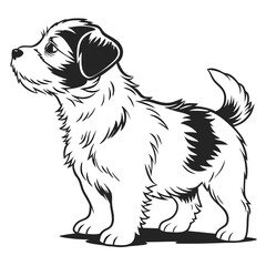 Line Art of Fluffy Terrier Dog Standing, Black and White Illustration, Detailed Fur