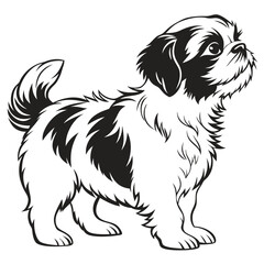 Shih Tzu Puppy Black and White Illustration, Fluffy Dog Standing, Cartoon Canine Portrait