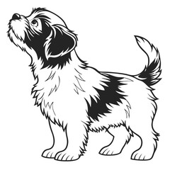 Black and White of Puppy Looking Up Furry Friend Cute Animal