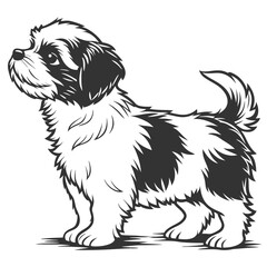 Cute Shih Tzu Puppy Silhouette Isolated, Minimalist Black and White Dog Breed Standing