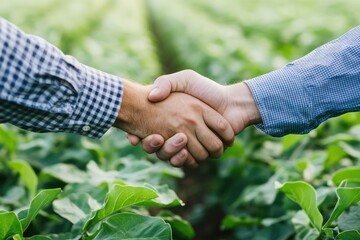 Farmers shaking hands in soybean field deal