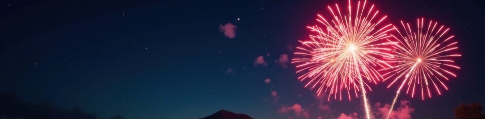 Fototapeta premium New Year fireworks exploding in the night sky, fireworks, sky