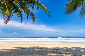 Beautiful beach background, Natural landscape with coconut palm trees on the beach at Phuket Thailand,Beach and sea in sunny day, Beach sea space area nature background