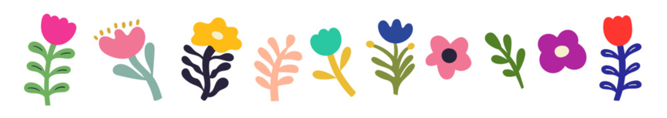 Beautiful modern flower collection