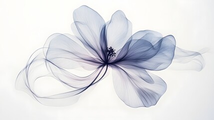 12. A minimalist flower with soft, translucent petals, gently floating in the center of a white background, with a few subtle lines to indicate its stem