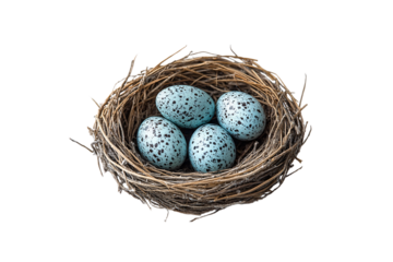 A rustic brown nest cradles four blue eggs with dark speckles, symbolizing new life, isolated on a transparent background