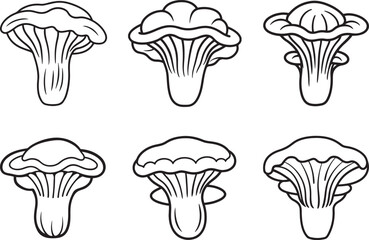 set of king oyster mushroom line art, black outline, vector and illustration, coloring book page line art drawing