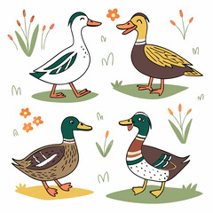 Cute Hand-Drawn Ducks: Farm Animals Illustration, Whimsical Style.
