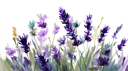 lavender watercolor style