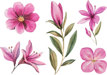 set of pink flowers