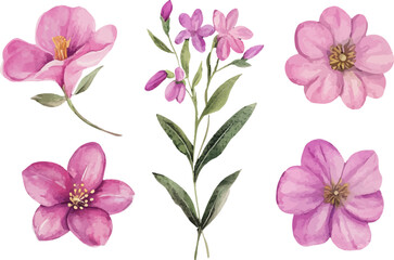 Obraz premium set of pink flowers