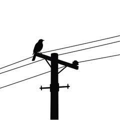 a bird sitting on a telephone pole silhouette vector design art and illustration 