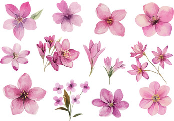 Fototapeta premium pink flowers background