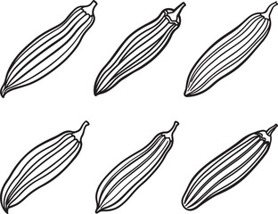set of okra vegetable line art, black outline, vector and illustration, coloring book page line art drawing