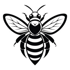 Honeybee Outline, Black and White Silhouette, Insect Illustration, Honeycomb Pattern, Wings