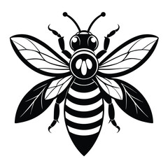 Simple Bee in Black and White, Detailed Wings and Stripes, Isolated