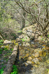 The scenic view of Ornaz waterfalls in Ornaz Valley, Denizli, Turkey