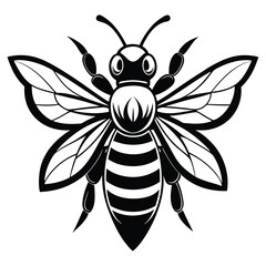 Stylized Black and White Bee with Detailed Wing Veins and Striped Body
