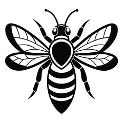 Detailed Black and White Bee Featuring Wing Veins and Striped Abdomen Design