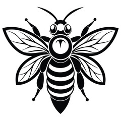 Elegant Insect Black and White Bee with Intricate Wing Details and Bold Stripes