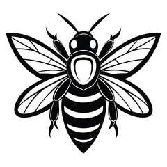 Striking Bold Black & White Bumble Bee Wings, Stripes, Antenna, Insect