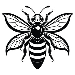 Detailed Honey Bee Illustration, Intricate Wings, Bold Black and White Design