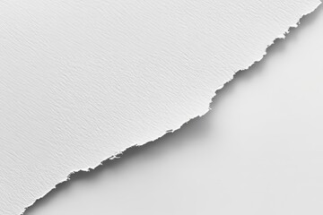 Close-up of torn white paper texture with subtle surface details.