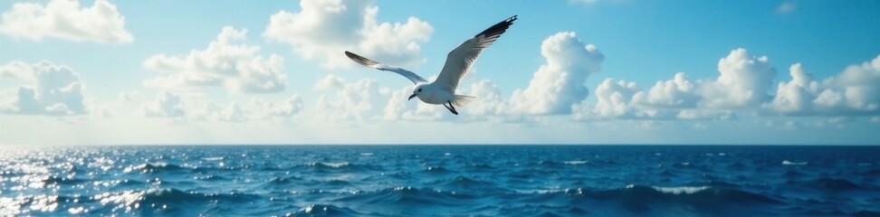 Obraz premium Seagull soaring over vast ocean, nature, blue, waves