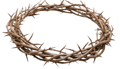 Crown of thorns isolated on transparent background,jesus christ, thorn, black and white, crown, feather, fly, horizontal, simplicity, sparse, variation, design element,45