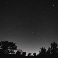 Fototapeta premium night sky with stars