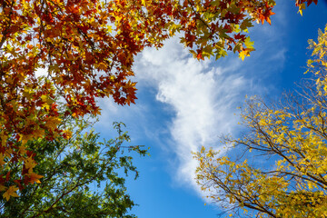 This place is absolutely beautiful during autumn, when the golden poplar trees are at their peak....