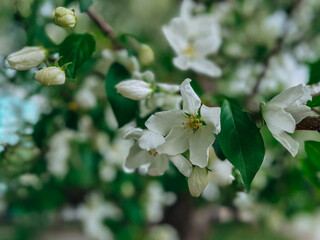  beautiful nature