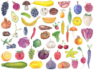 Set of fruits, vegetables,  mushrooms Colorful handdrawn, handpainted food illustration Great for restaurant menu, kitchen decor, recipe book, educational material Isolated on white