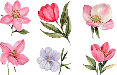 seamless pattern with pink flowers